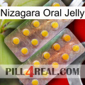 Nizagara Oral Jelly new10